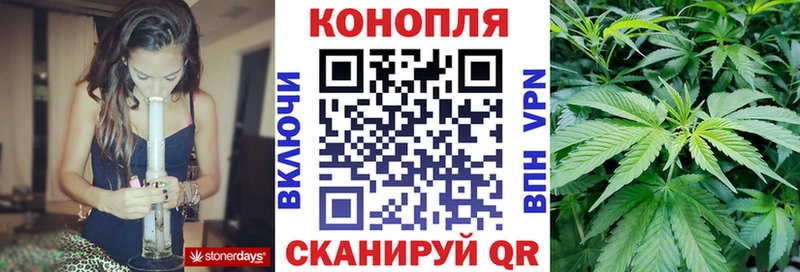 наркотики  Сураж  Шишки марихуана марихуана 